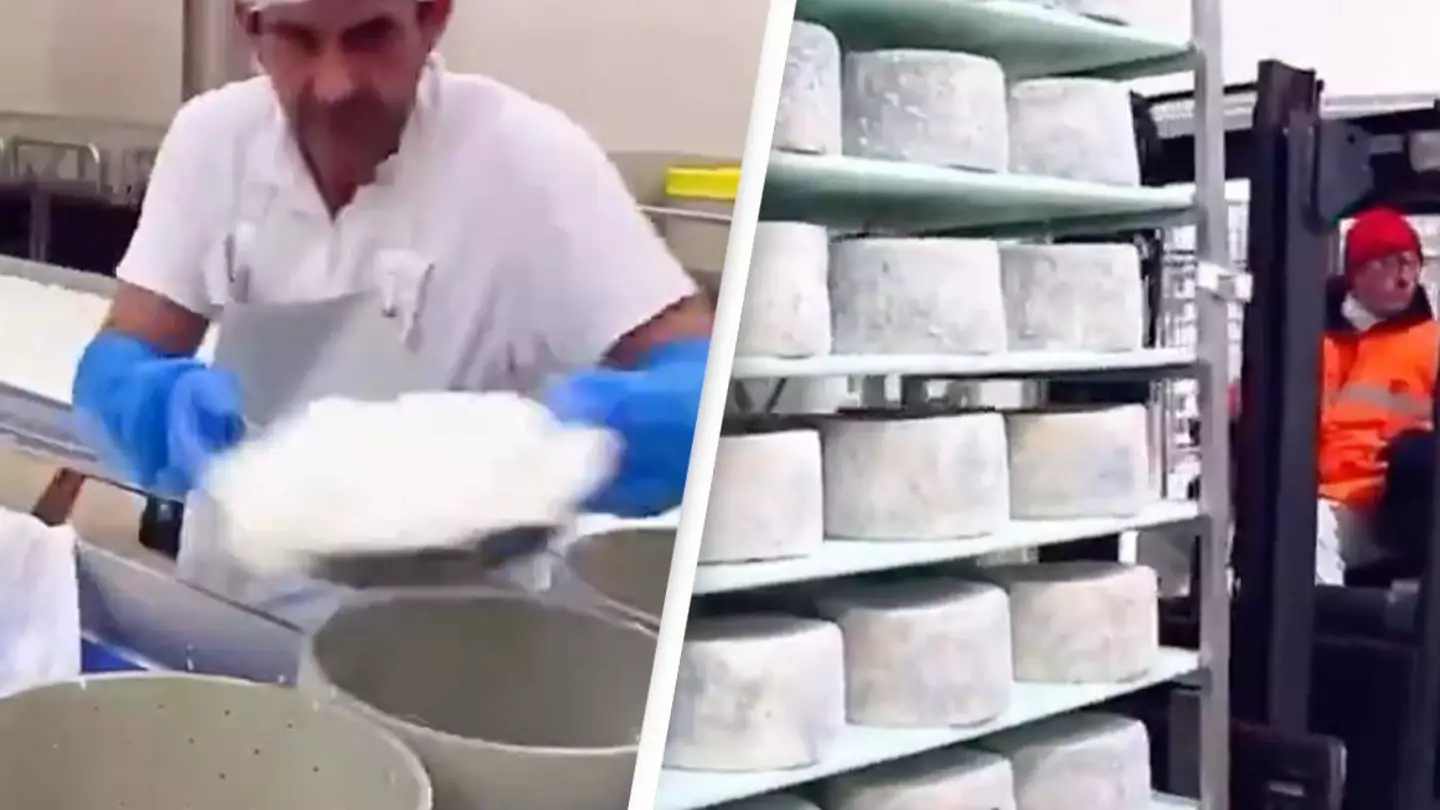 People are just finding out the 'gross' way blue cheese is made and they never want to eat it again