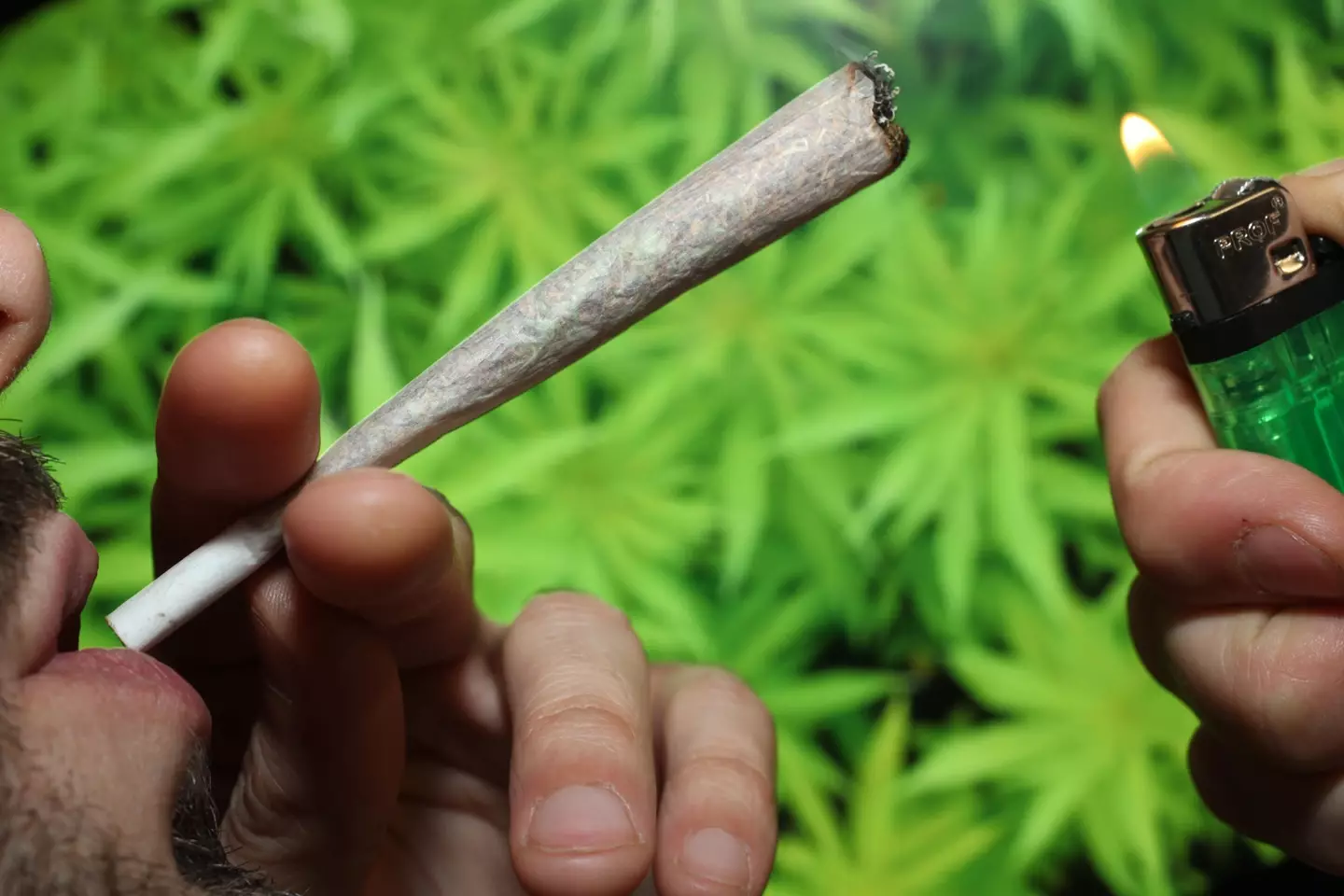 DreamFields Brands is accused of misleading customers about the THC content of its products.