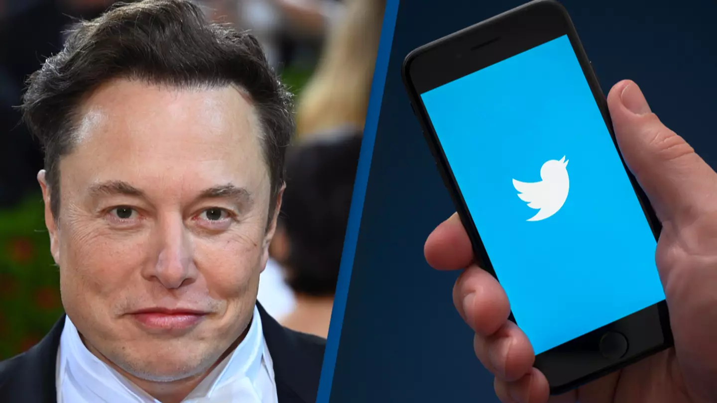 Use of the n-word on Twitter increased by 500% after Elon Musk's takeover
