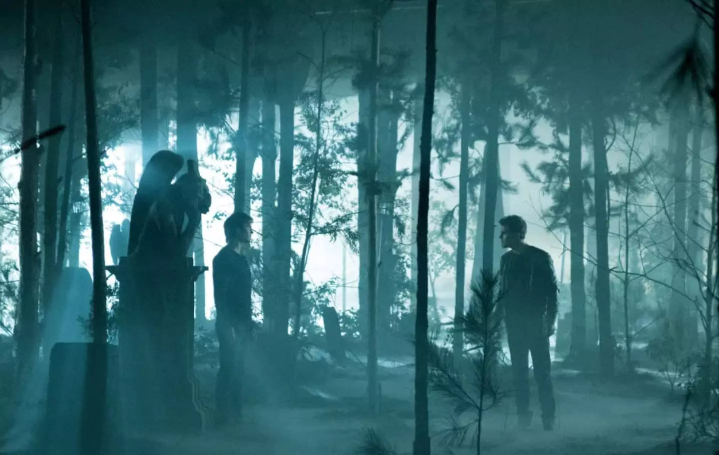 Characters from The Vampire Diaries in an eerie wood.