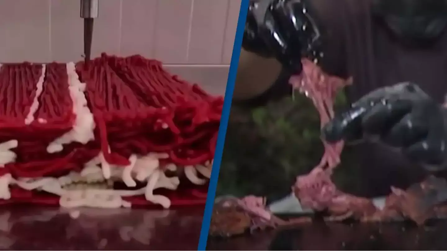 People discover 'gross' way scientists are 3D-printing steak and say they would never eat it