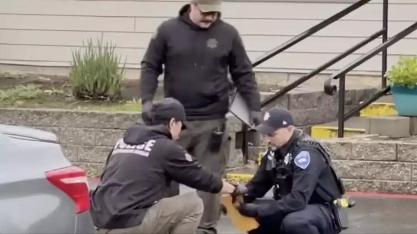 KTVU FOX 2 San Francisco