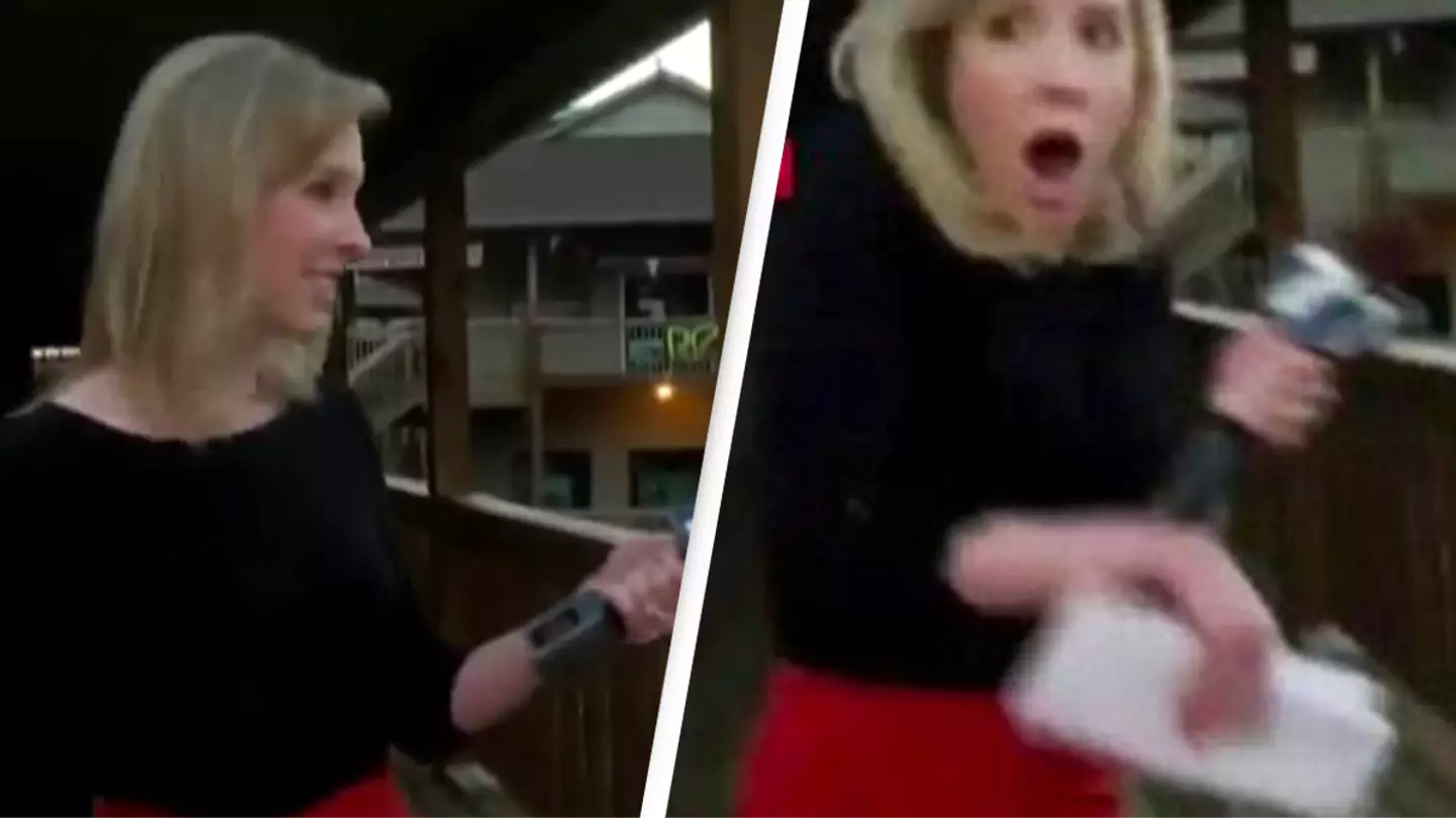 WDBJ7