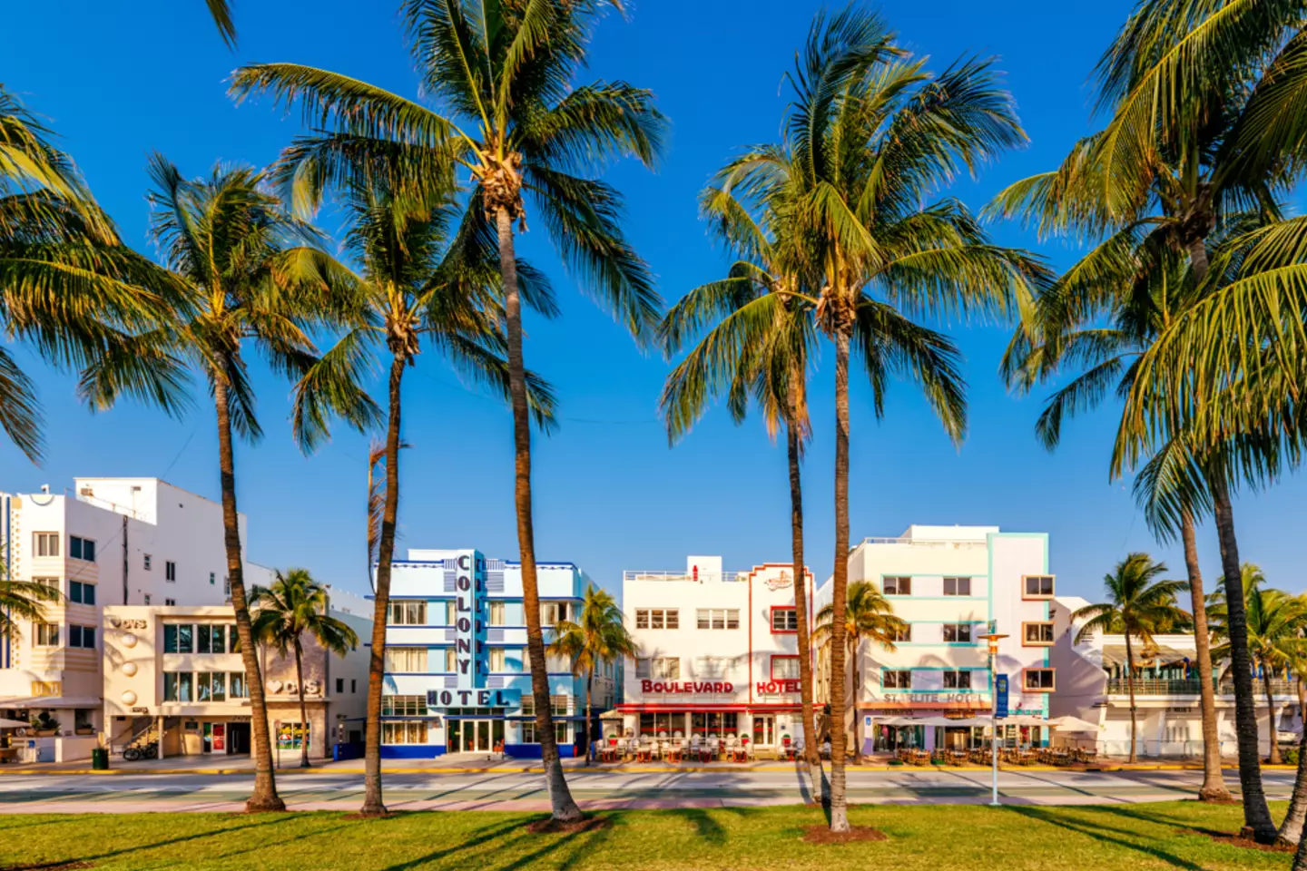 A seafront and that many palm trees? It's not hard to guess which city this is (Getty Stock Images)