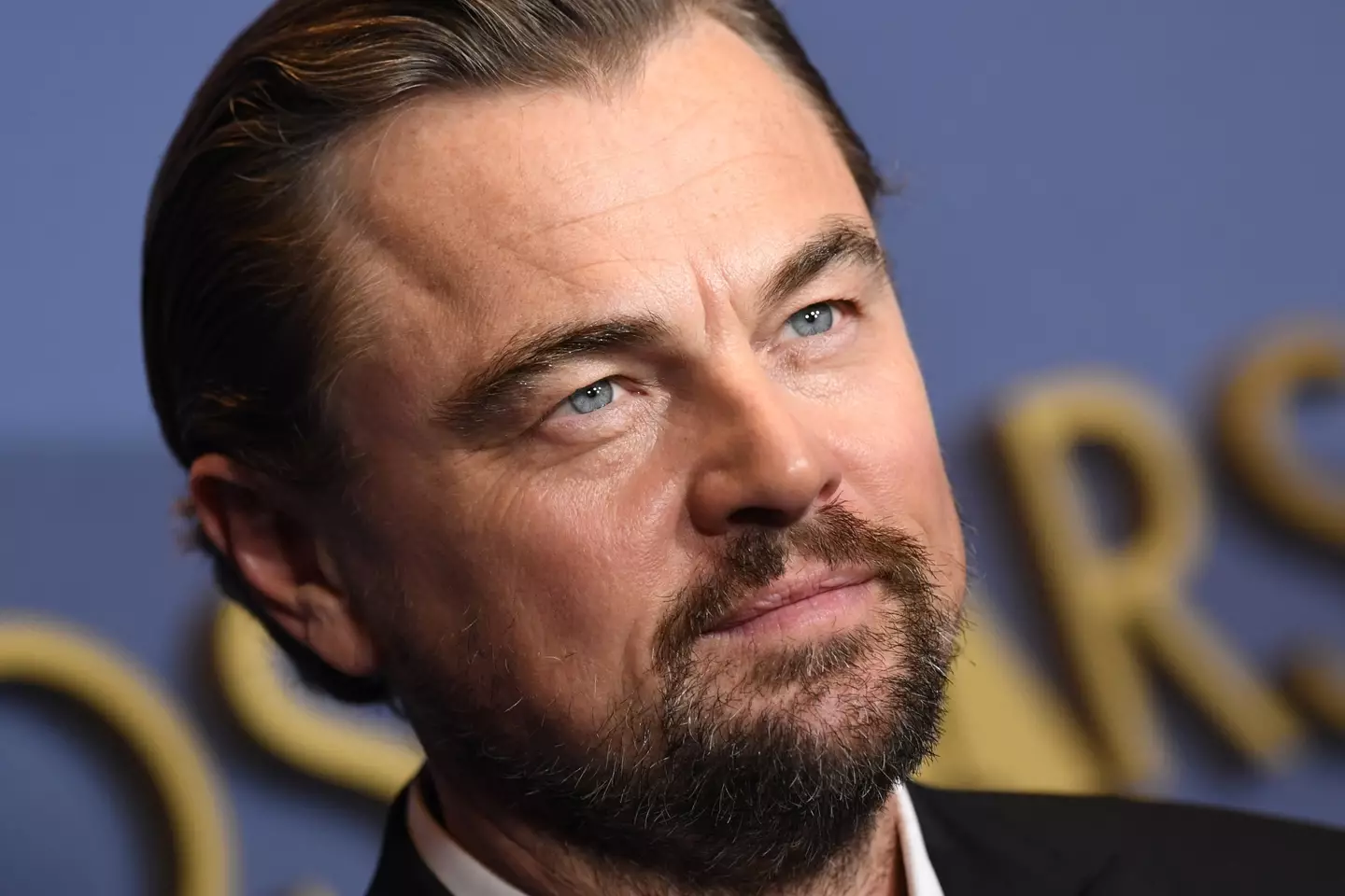 Leonardo DiCaprio is said to be 'smitten' with Ceretti.