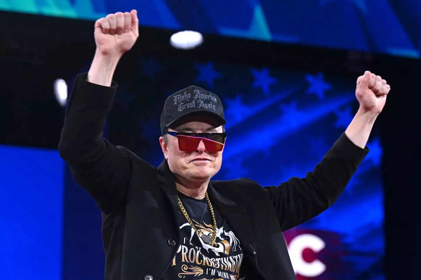 Musk was appointed head of DOGE by President Trump (SAUL LOEB/AFP via Getty Images)