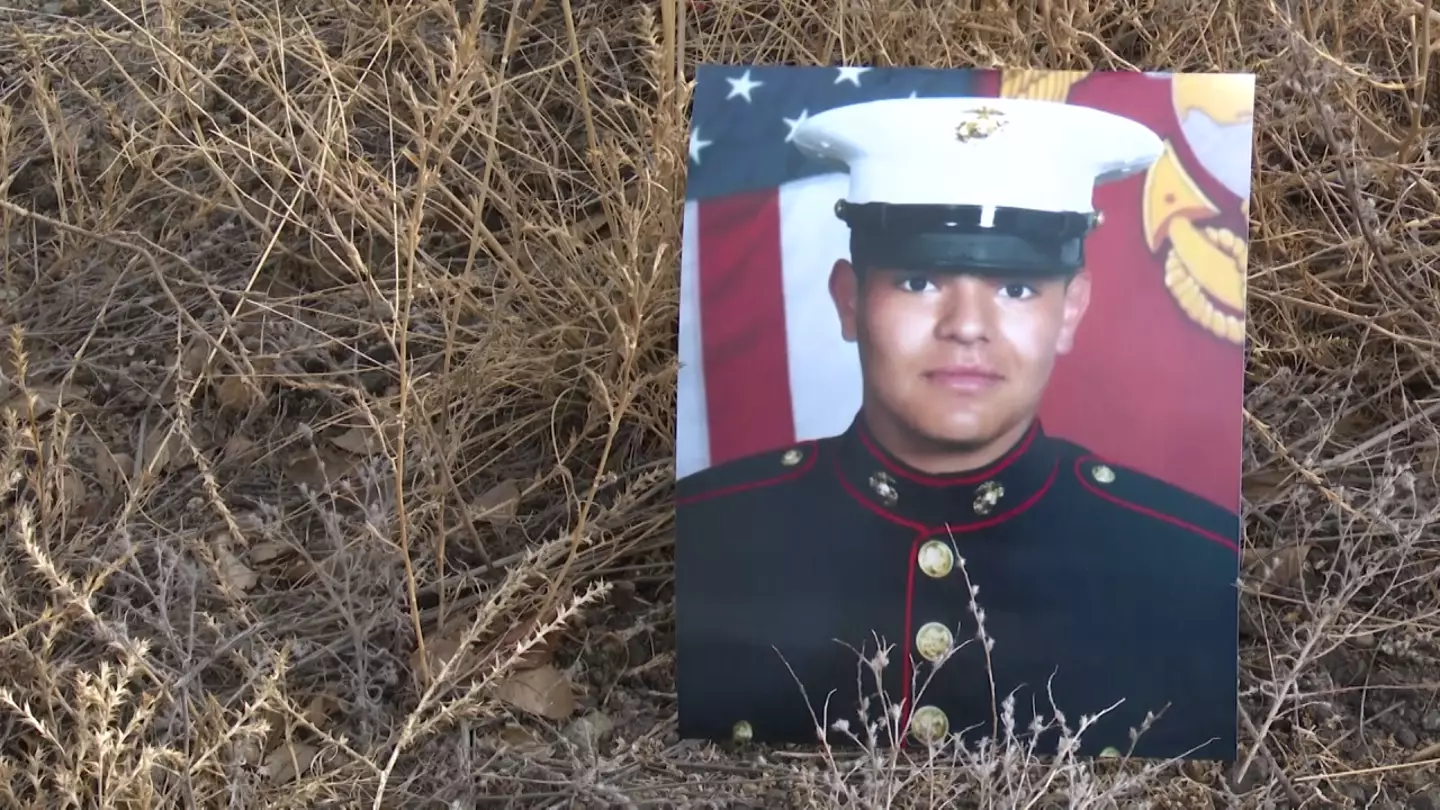 Christopher Hutchings.