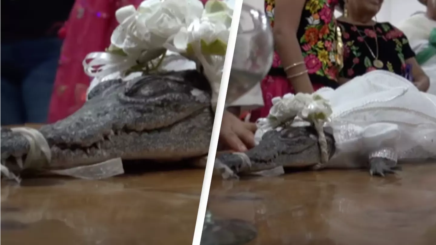 Mayor Marries ‘Princess’ Alligator In Centuries-Old Tradition