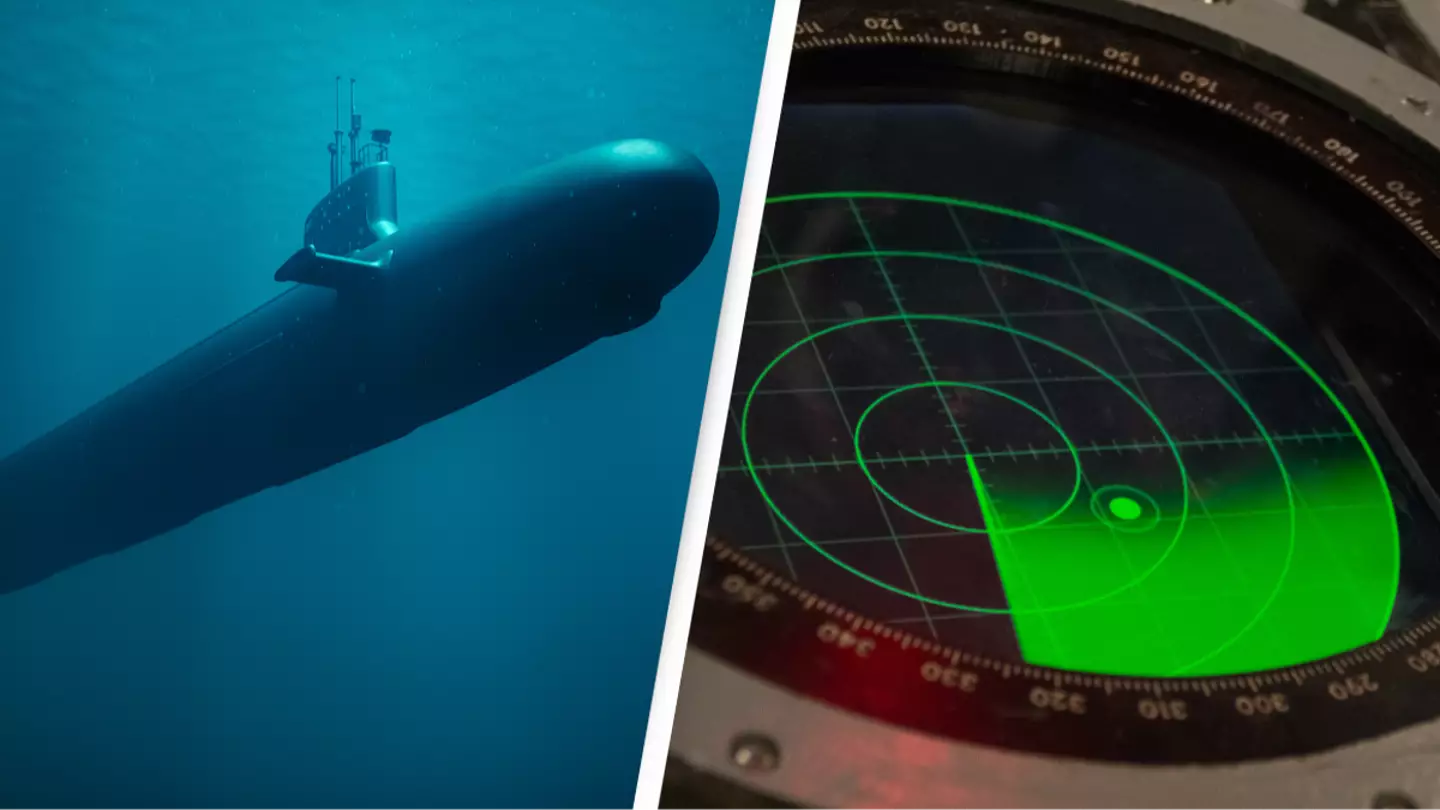 This is the terrifying reality of what happens if you hear an active submarine sonar while underwater