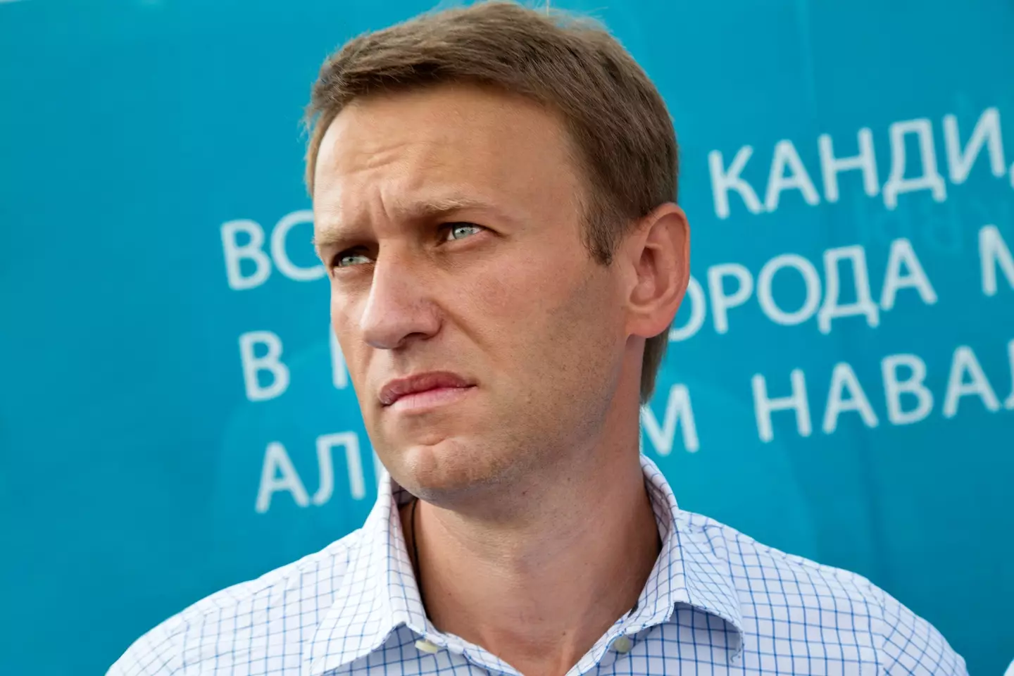 Alexei Navalny in 2013.