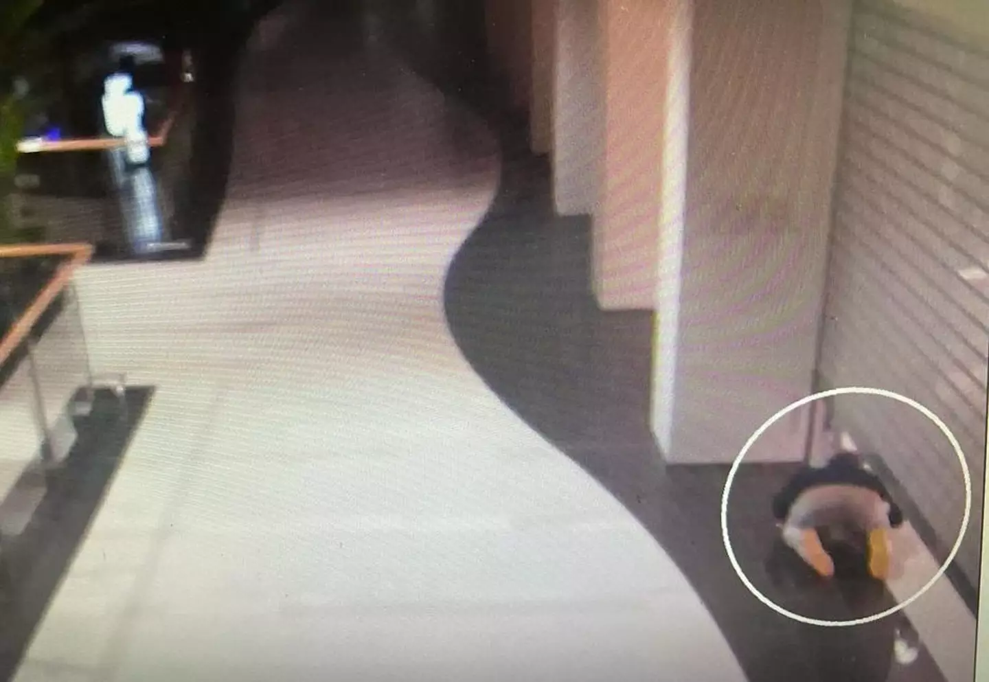 CCTV shows the alleged crime spree around the mall.