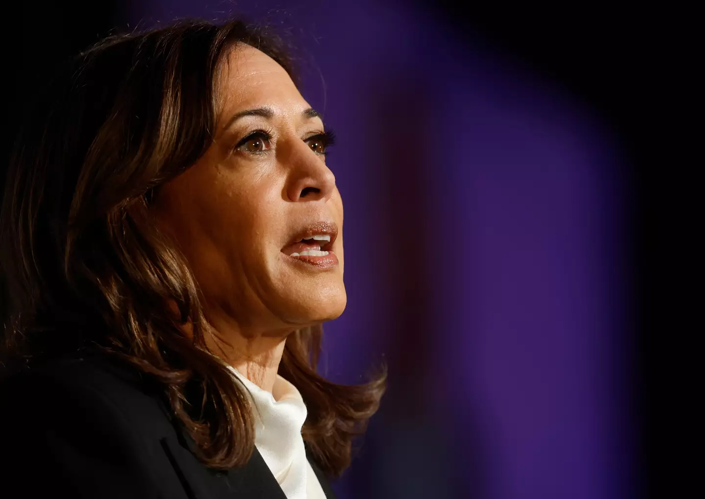 Kamala Harris claimed 'warning signs' appeared well before Joe Biden took the debate stage (Mario Tama/Getty Images)(Justin Sullivan/Getty Images)