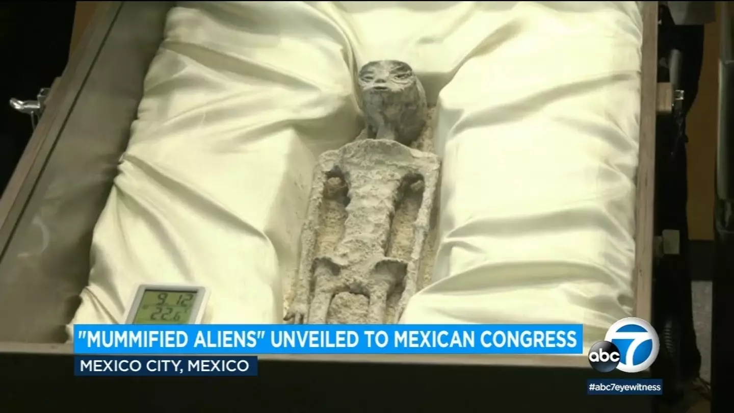 Another set of 'aliens' were also unveiled in congress.
