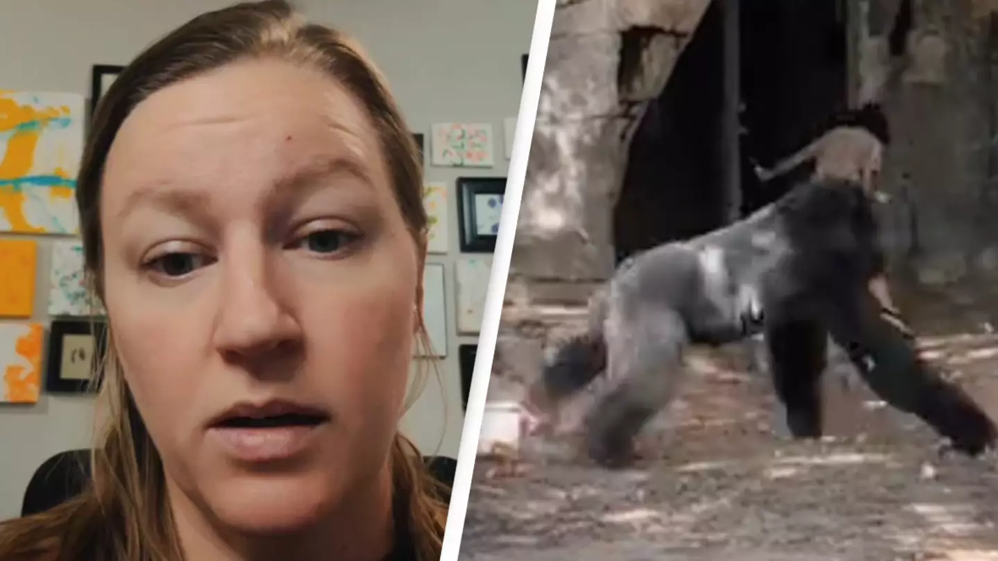 Experienced zookeeper weighs in on viral video of keepers trapped in gorilla enclosure