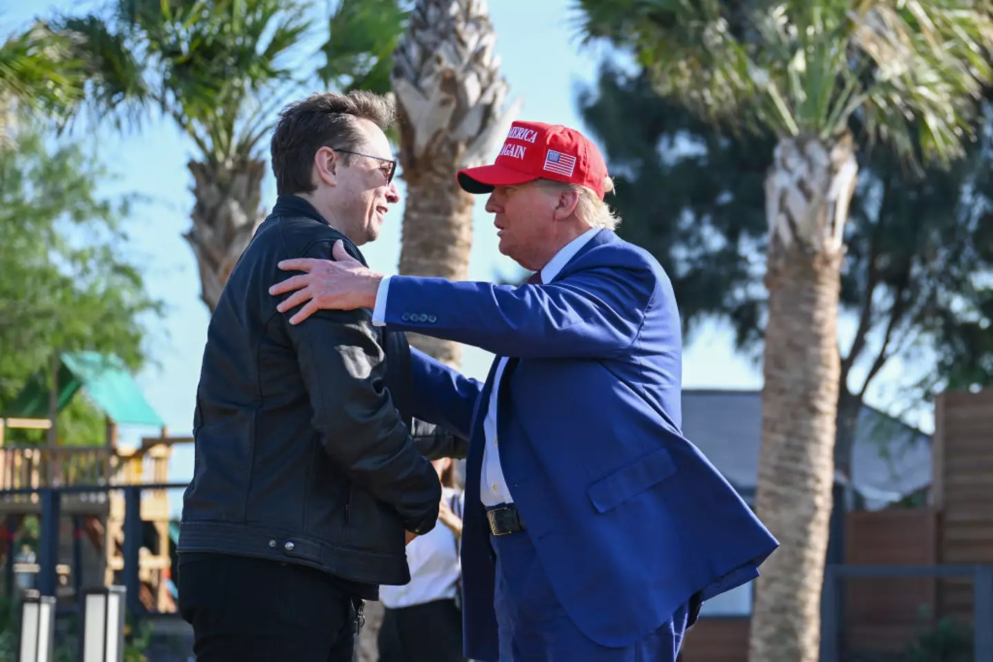 Musk has incurred $136 billion since President-elect Donald Trump beat Vice-President Kamala Harris at the poles (Brandon Bell/Getty Images)