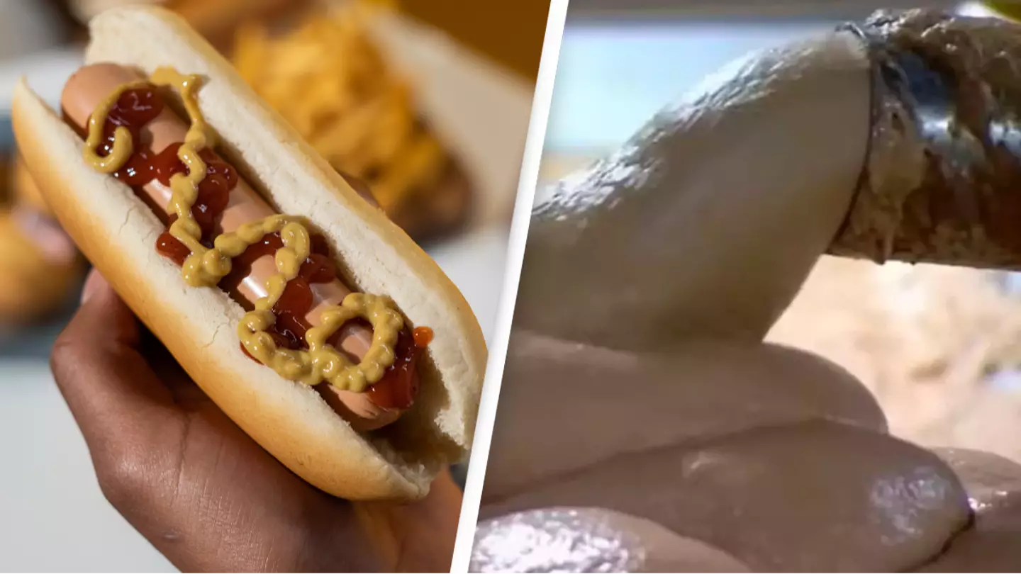 People left incredibly disturbed after seeing how hot dogs are made