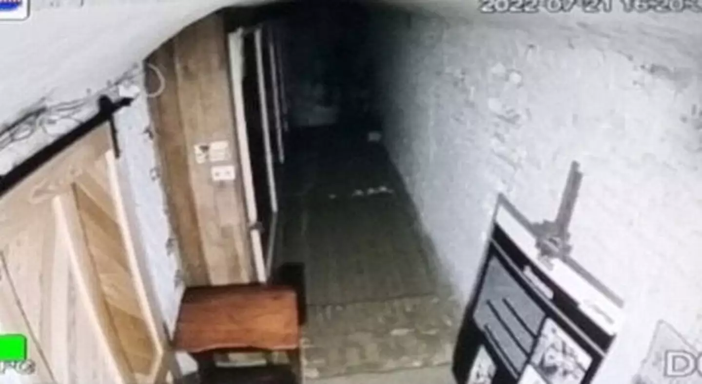 Some of the lovers were captured on CCTV.