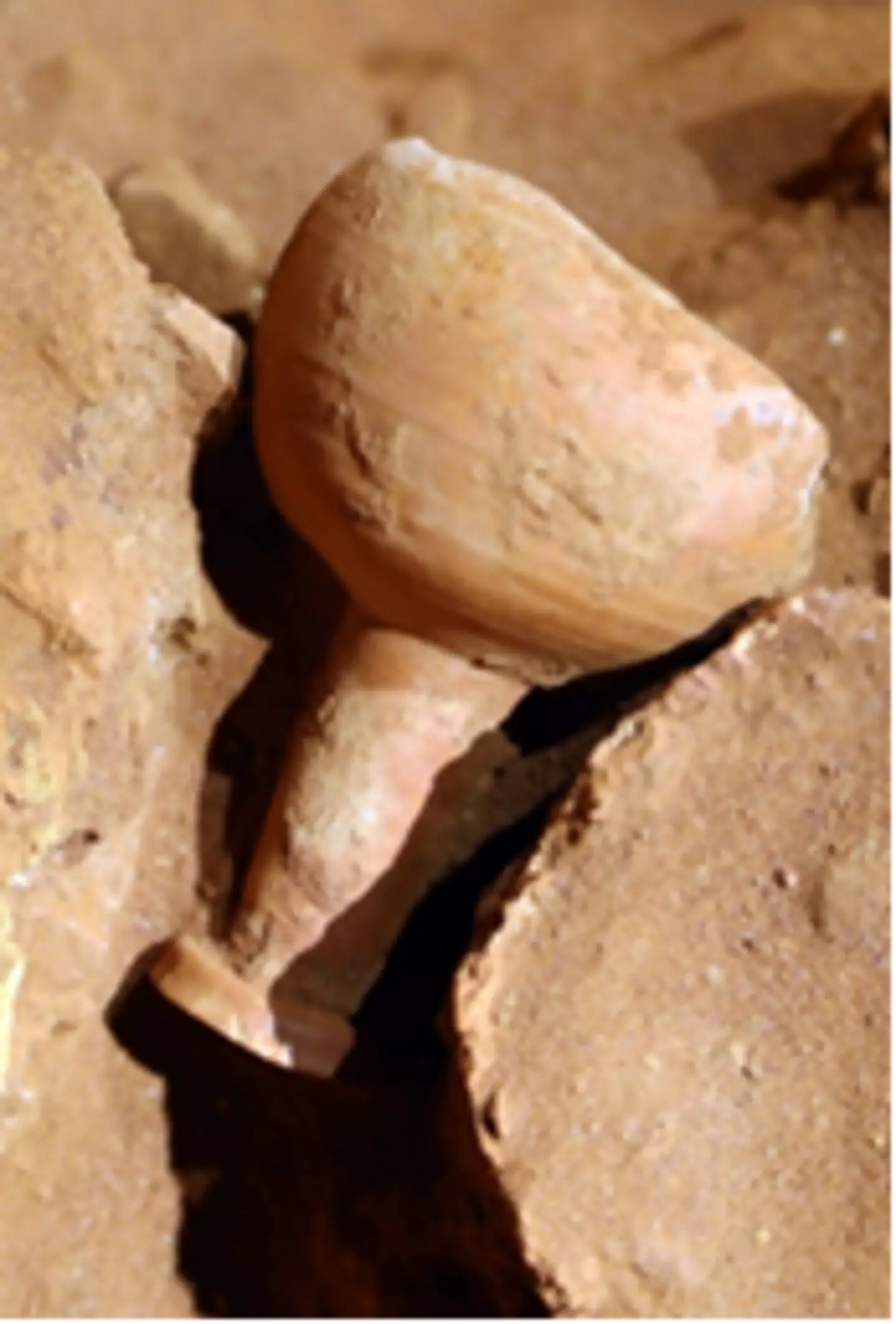 Archeologist found more than they expected in Petra. (St. Andrews University)