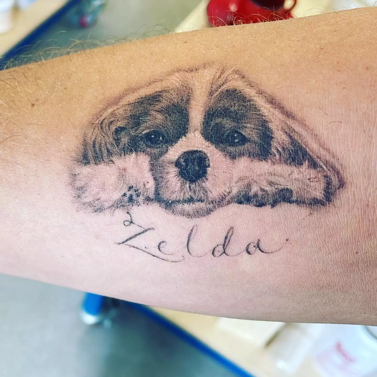 Rogen said his beloved pooch is now 'just a glance away at all times'.