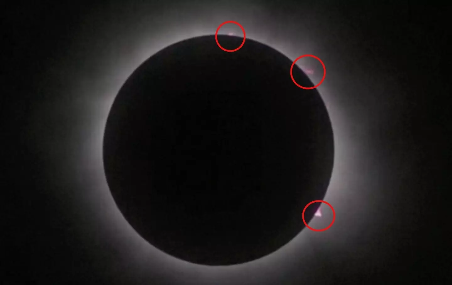 Solar flares or CMEs could been seen during the eclipse. NASA