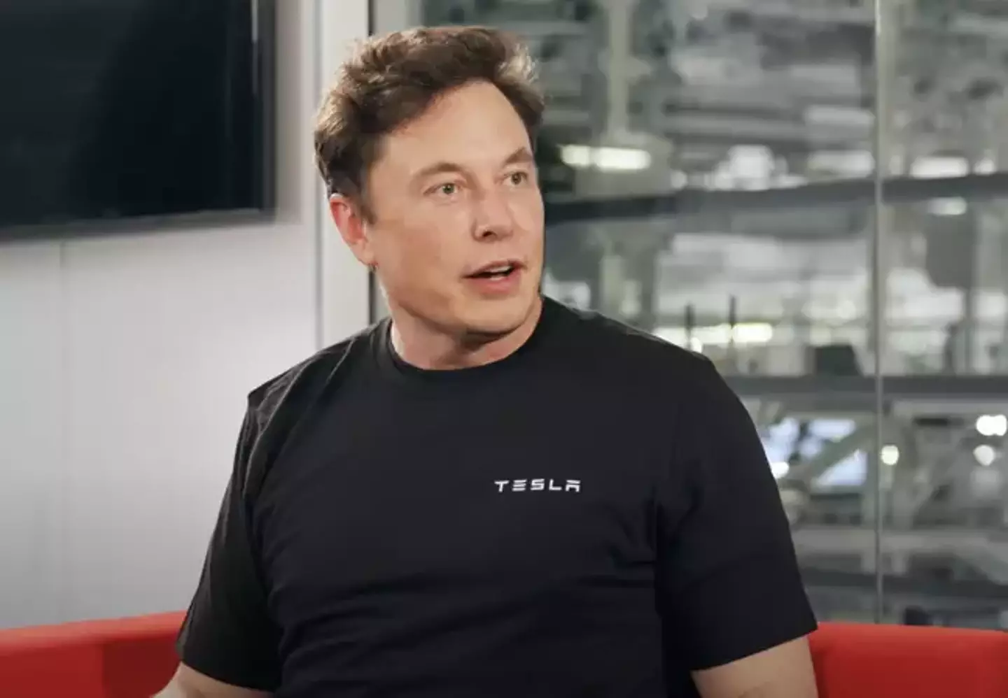 The mind behind Tesla and SpaceX is now part of a group of tech chiefs who want to pause the development of artificial intelligence (AI).