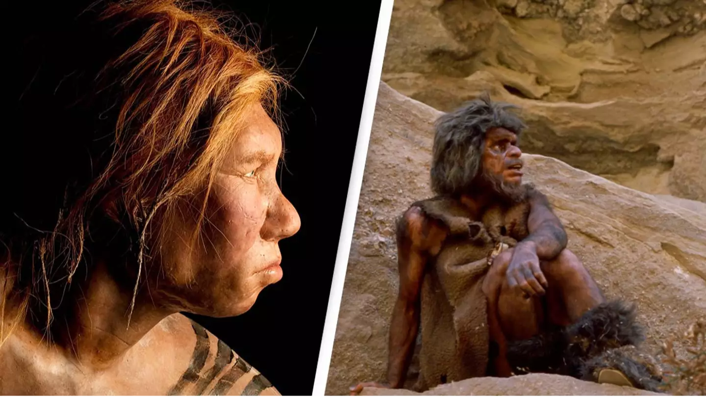 Humans nearly went extinct 800,000 years ago