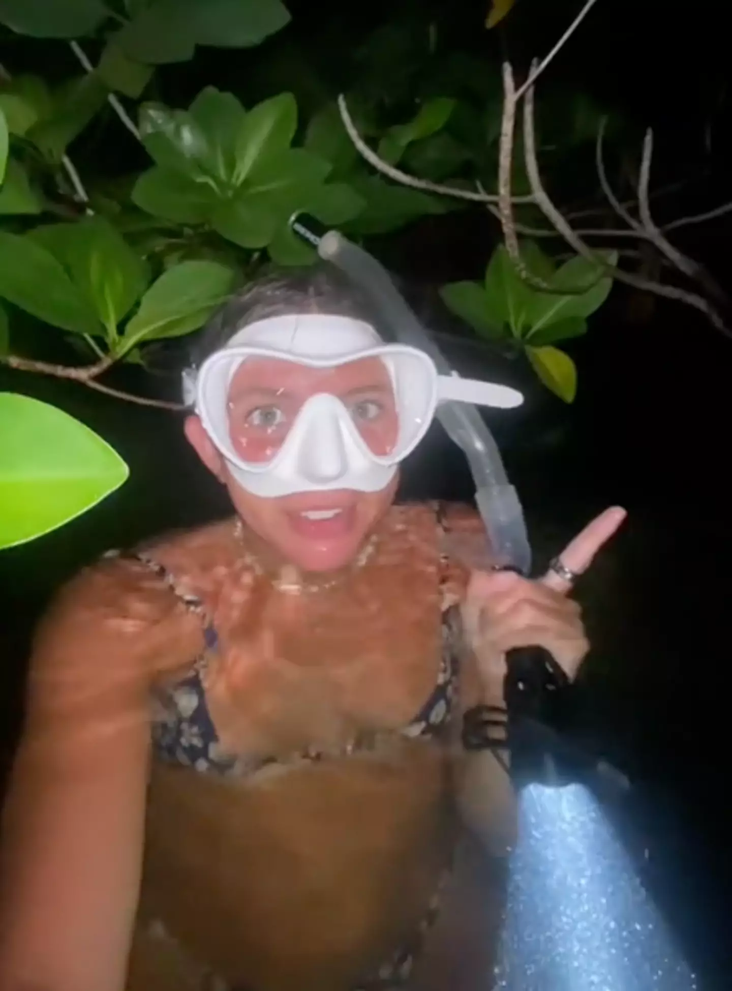 Brave or stupid? (TikTok/@ajcoastal)