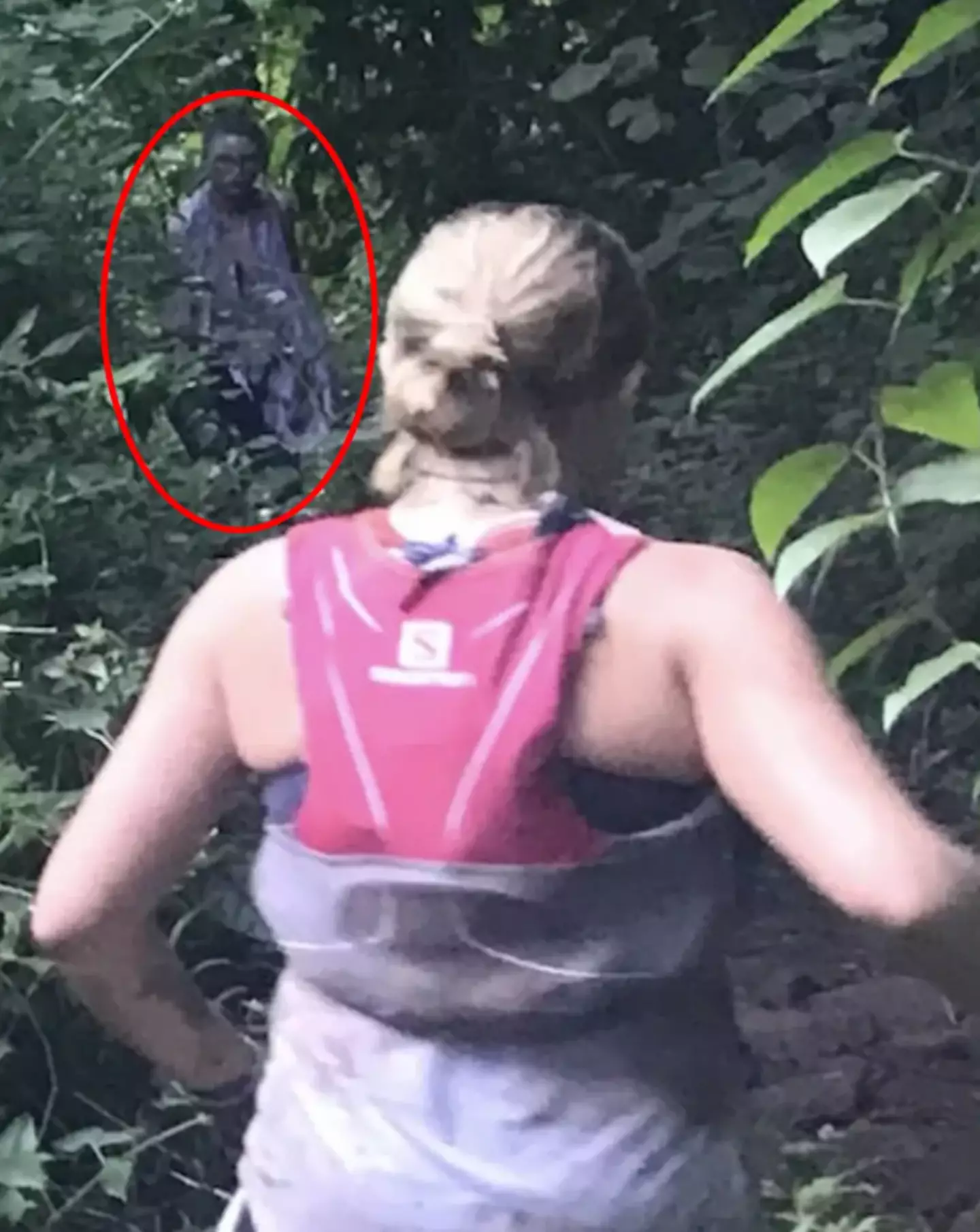 The mystery figure appeared to emerge through the trees. (Kay Borleis)
