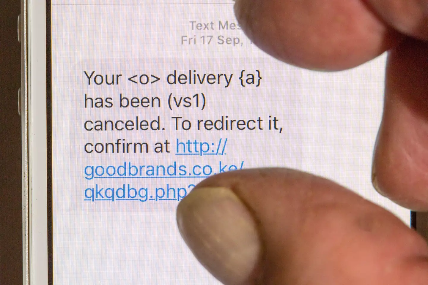 A scam text message (Alamy )