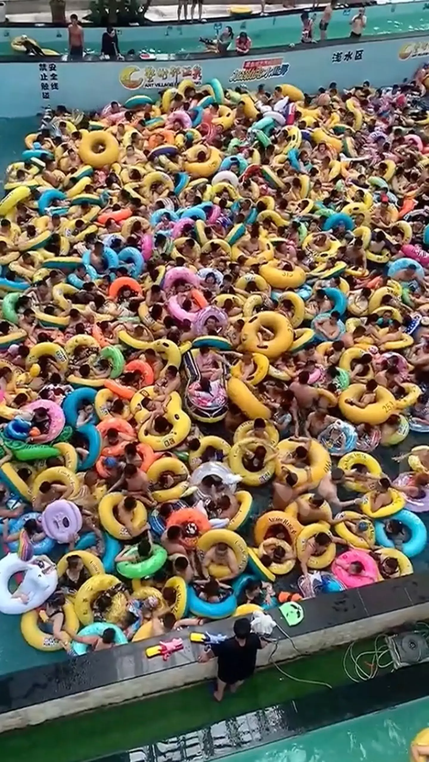 People were horrified at the scenes.