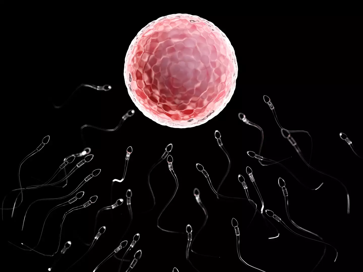Around a fifth of the donor's sperm is affected (Getty Stock Photo)