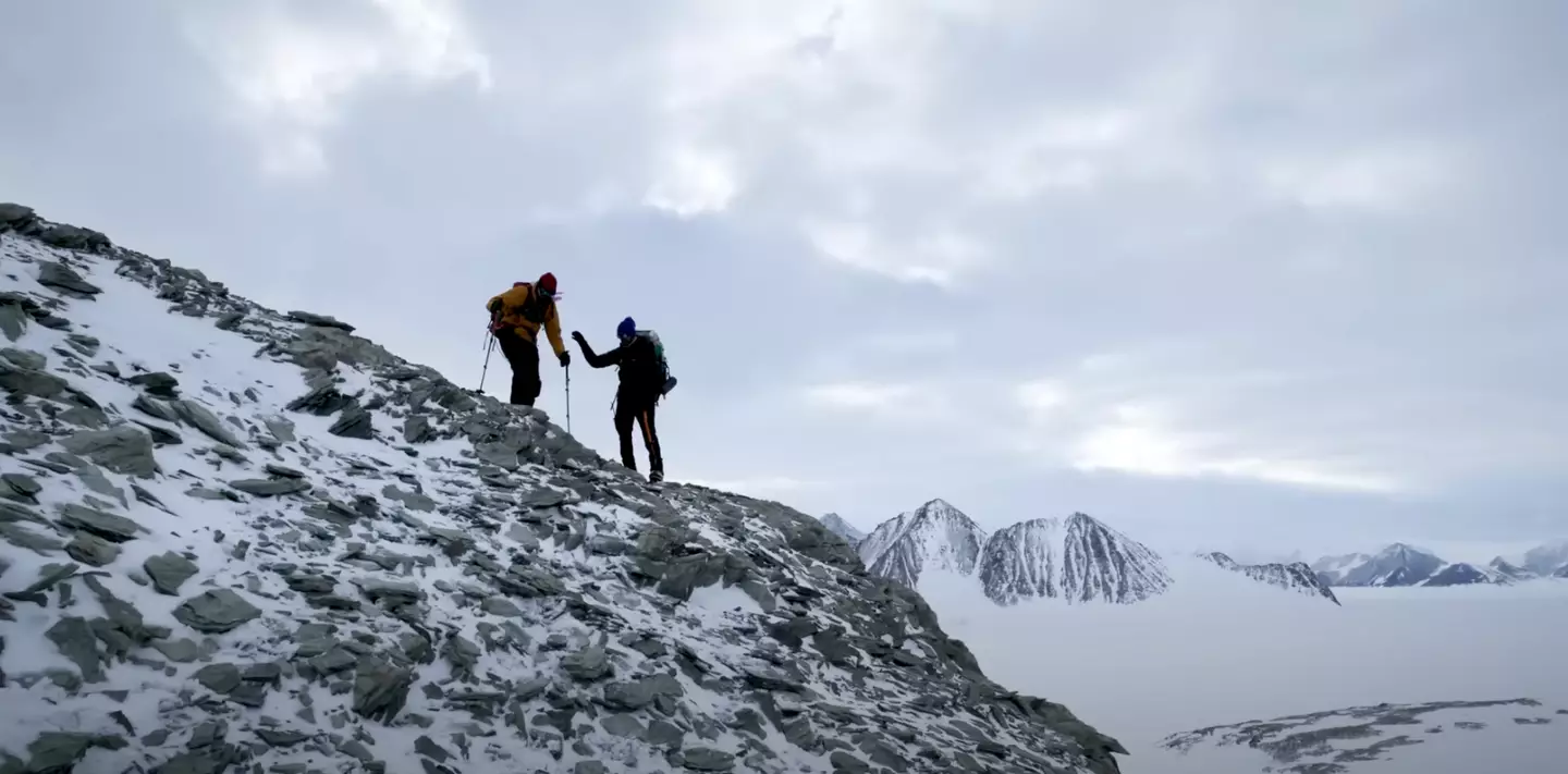 MrBeast survived 50 hours in Antarctica.