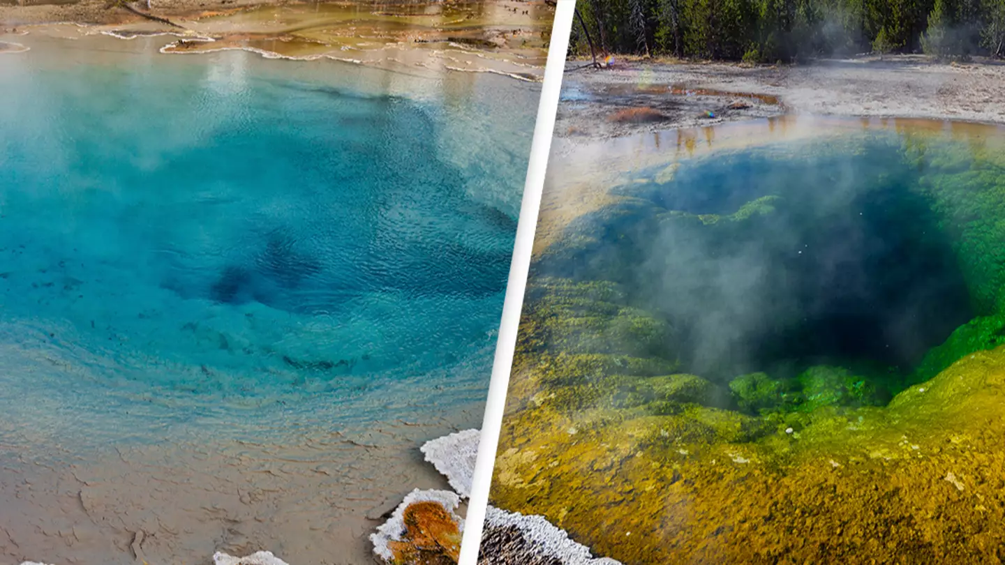 Tourists blamed for ruining Yellowstone thermal pool with 'weird' ritual