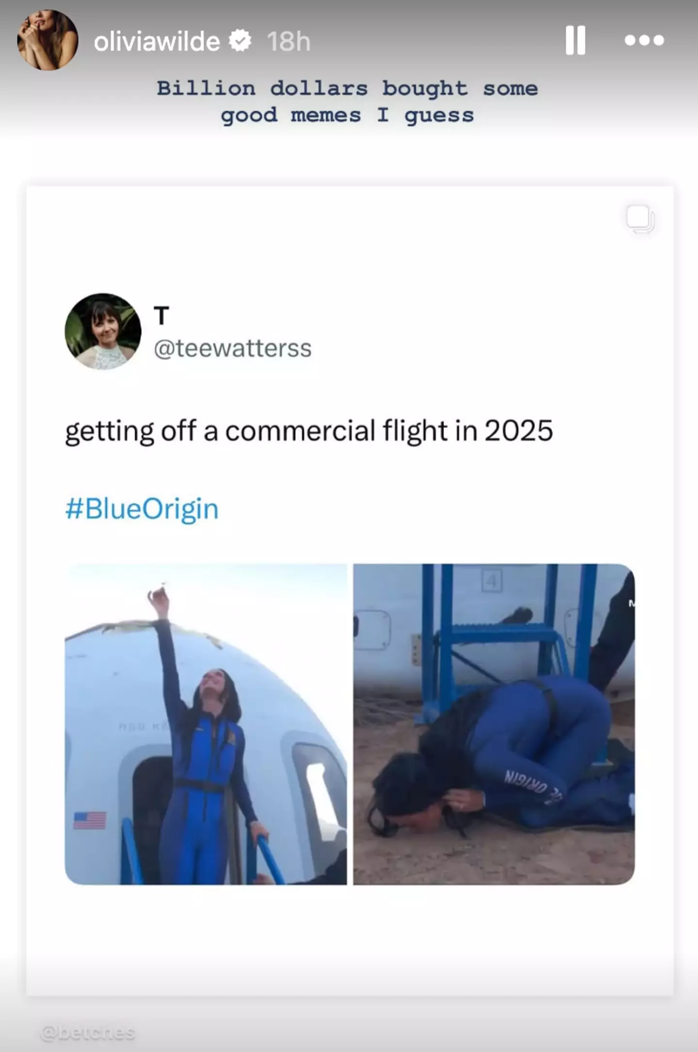 The actress made a brutal eight-word comment about the voyage (Instagram/oliviawilde)