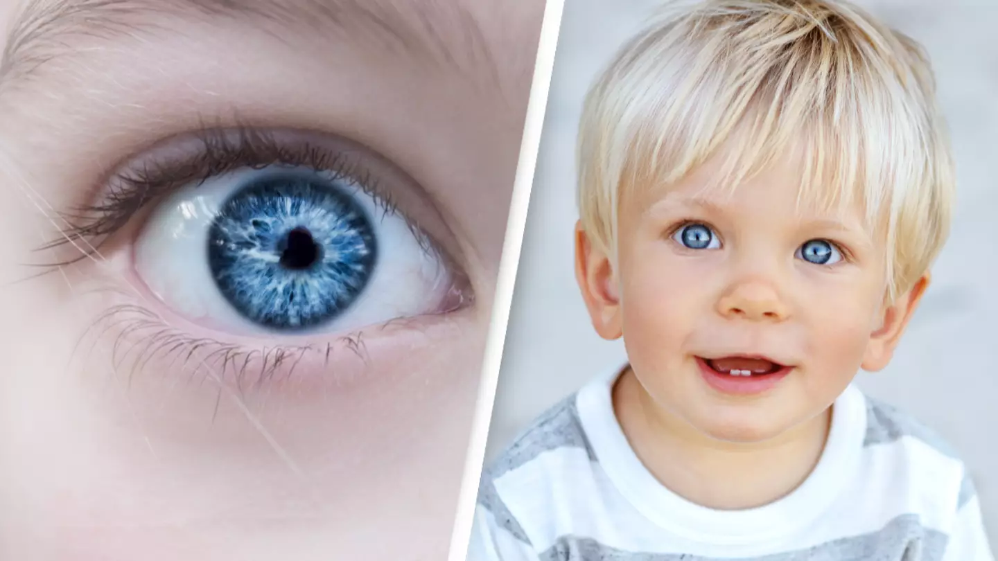 Every blue-eyed person is a descendant of one single human