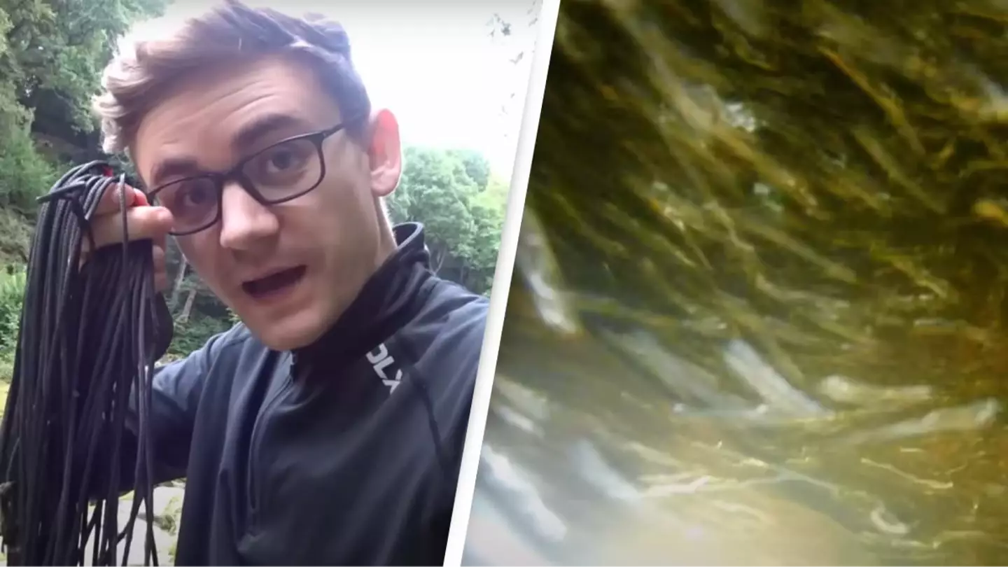 YouTube/@jackasnacks