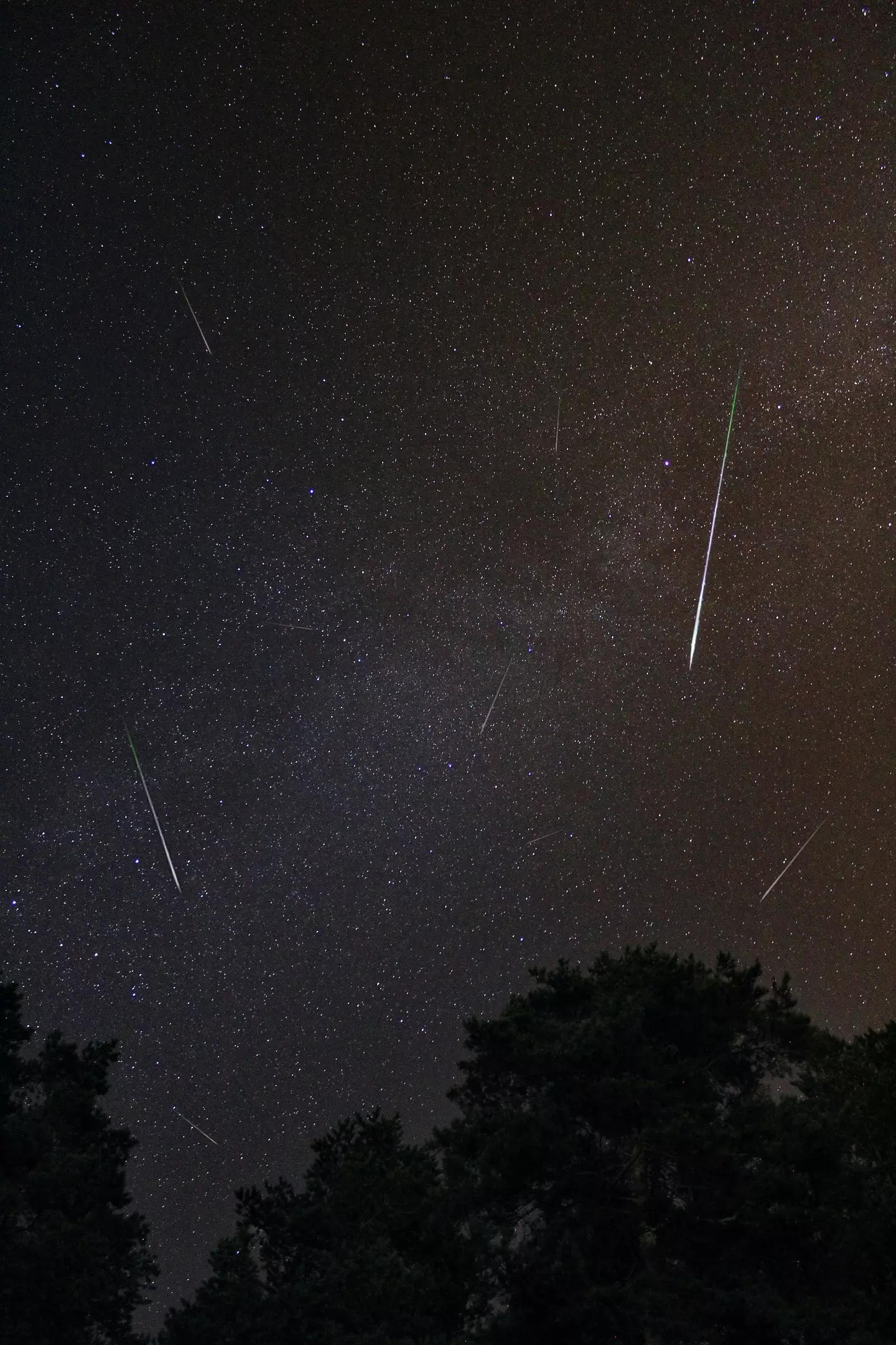The 'best meteor shower of the year' is set to peak between 10pm ET on Wednesday and 1am on Thursday.