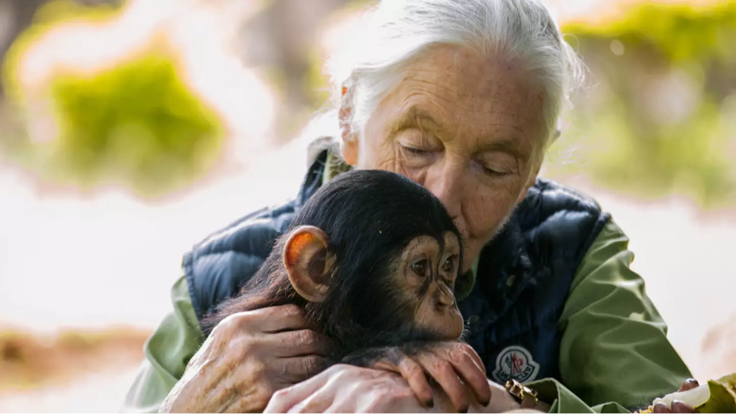 Getty Images/SUMY SADURNI