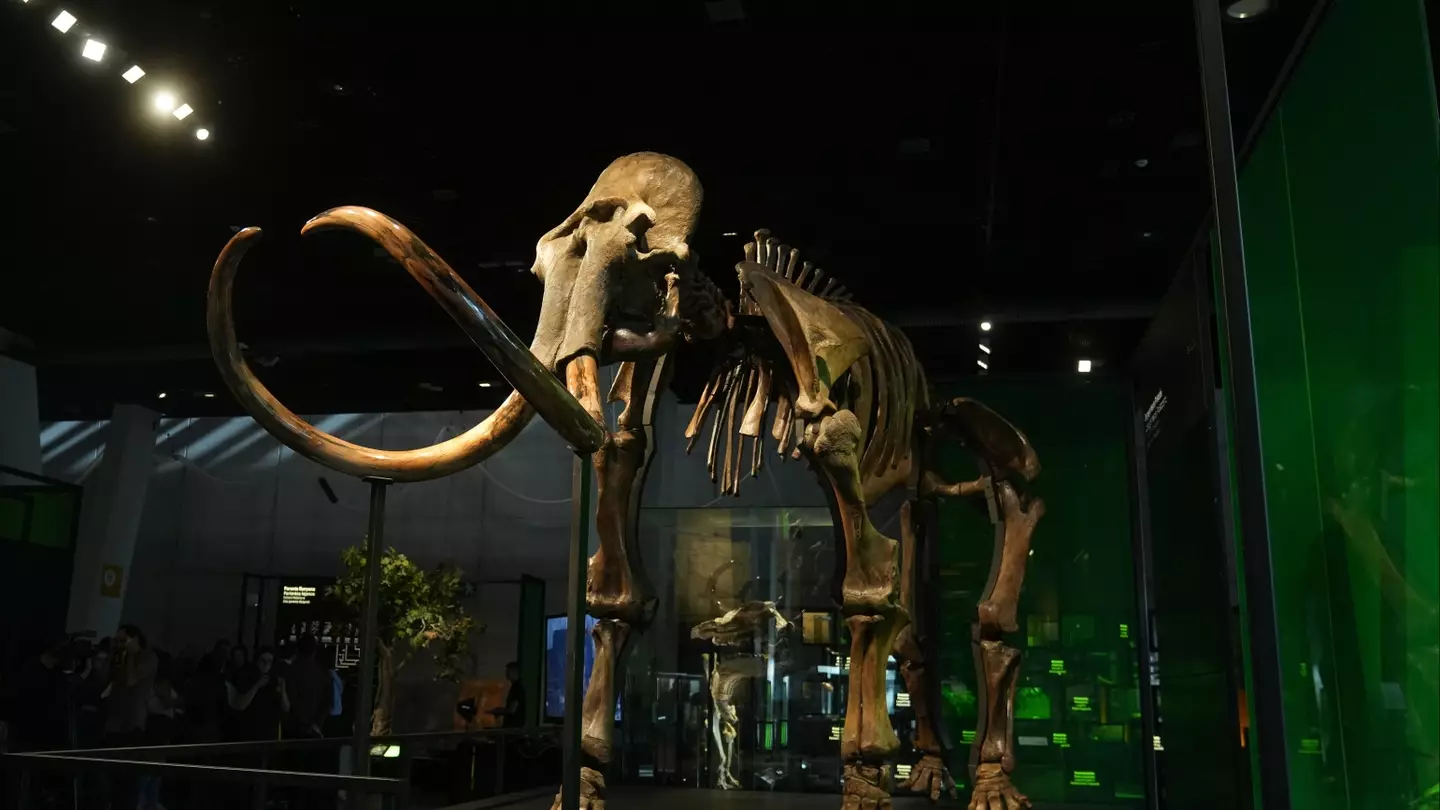 David Zorrakino/Europa Press via Getty Images