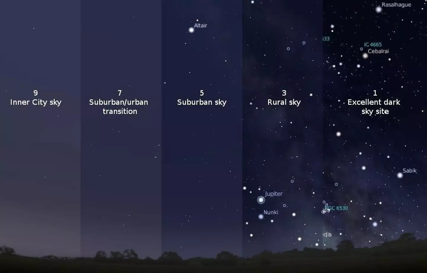 Light pollution can block our view of the meteors (International Dark Sky Association/NASA)