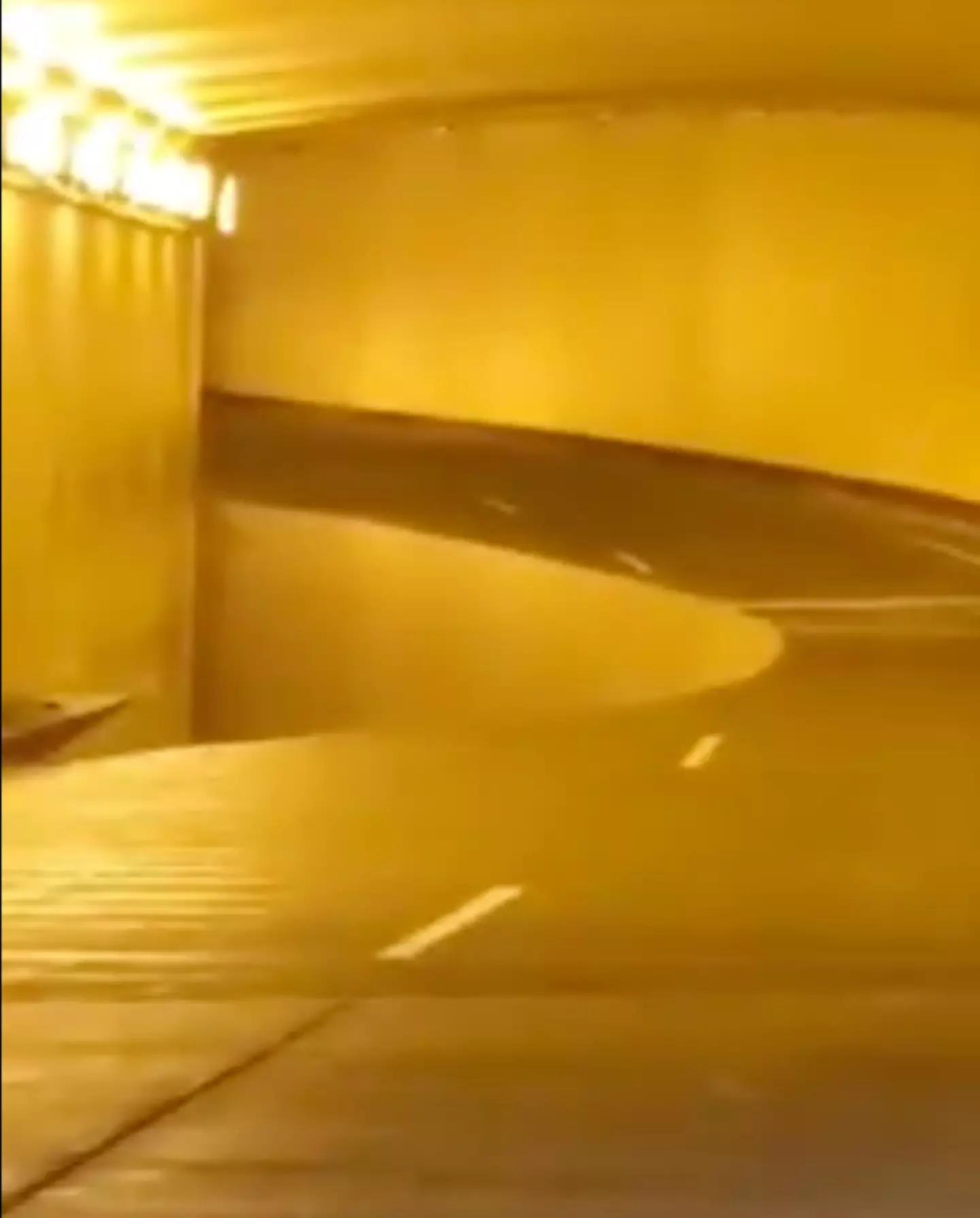 Hitting the brakes in front of the mind-bending optical illusion, the driver can be heard saying: “F**k bro.