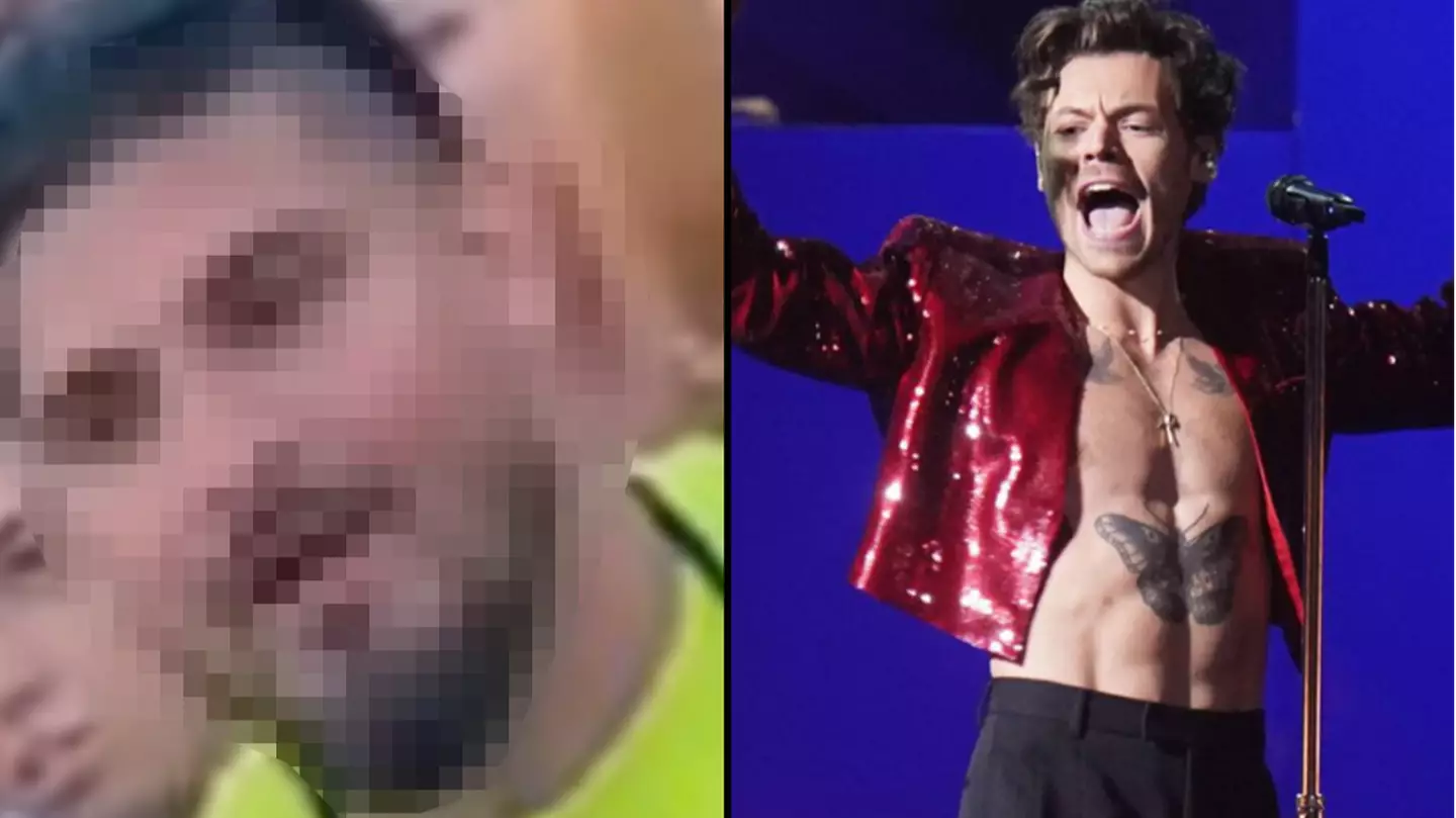 Manhunt underway for Harry Styles fan accused of sex attack against woman at Love On Tour concert