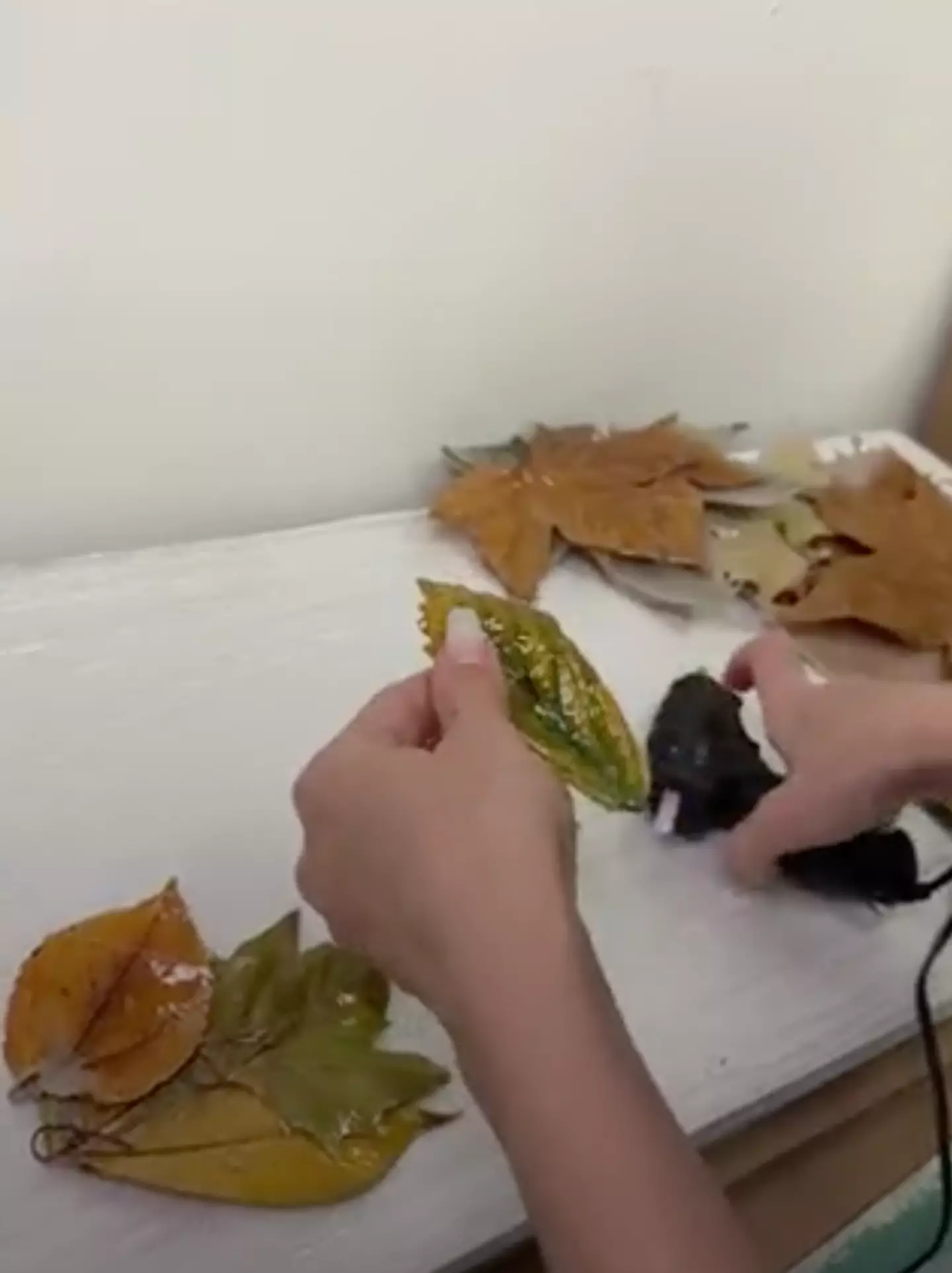 The model and one of her close friends froze the leaves and painted them with resin.