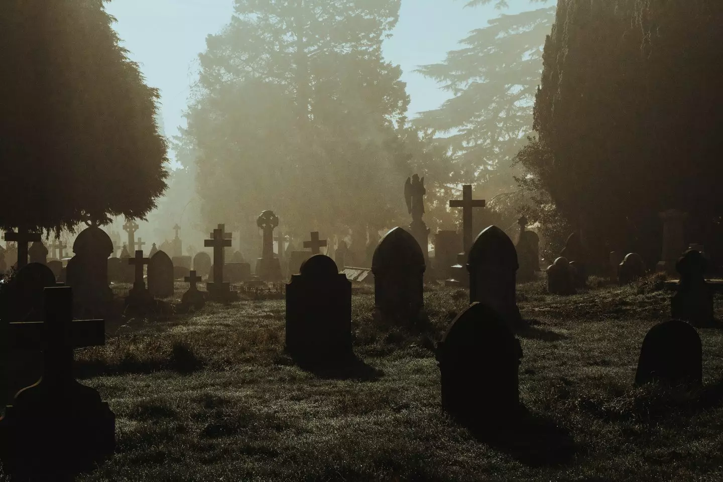 If you exhibit nightmares frequently it could lead to an early grave (Getty stock)