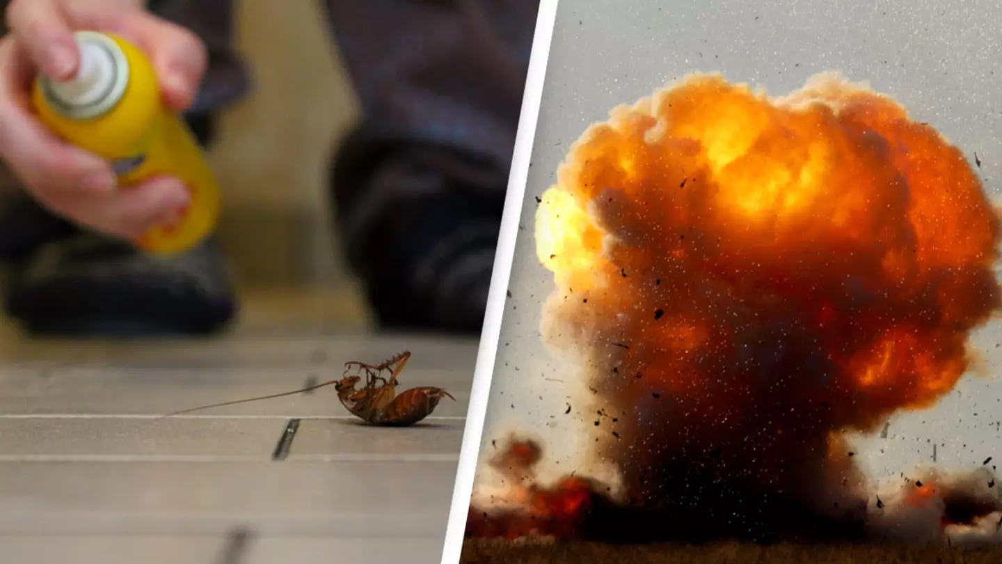 Man blows up his apartment trying to kill cockroach with insecticide