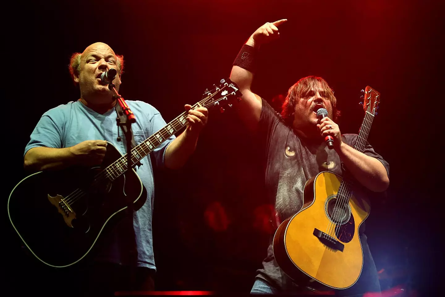 Tenacious D's world tour was brought to an abrupt end last summer (Mike Lawrie/Getty Images)