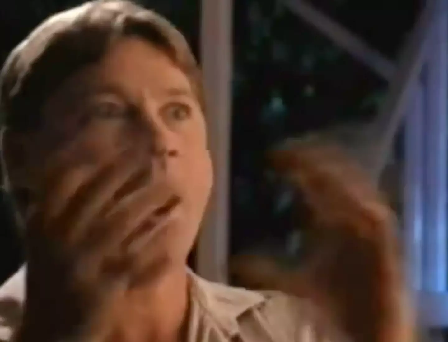 Steve Irwin was doing a crocodile demonstration when he saw Terri.