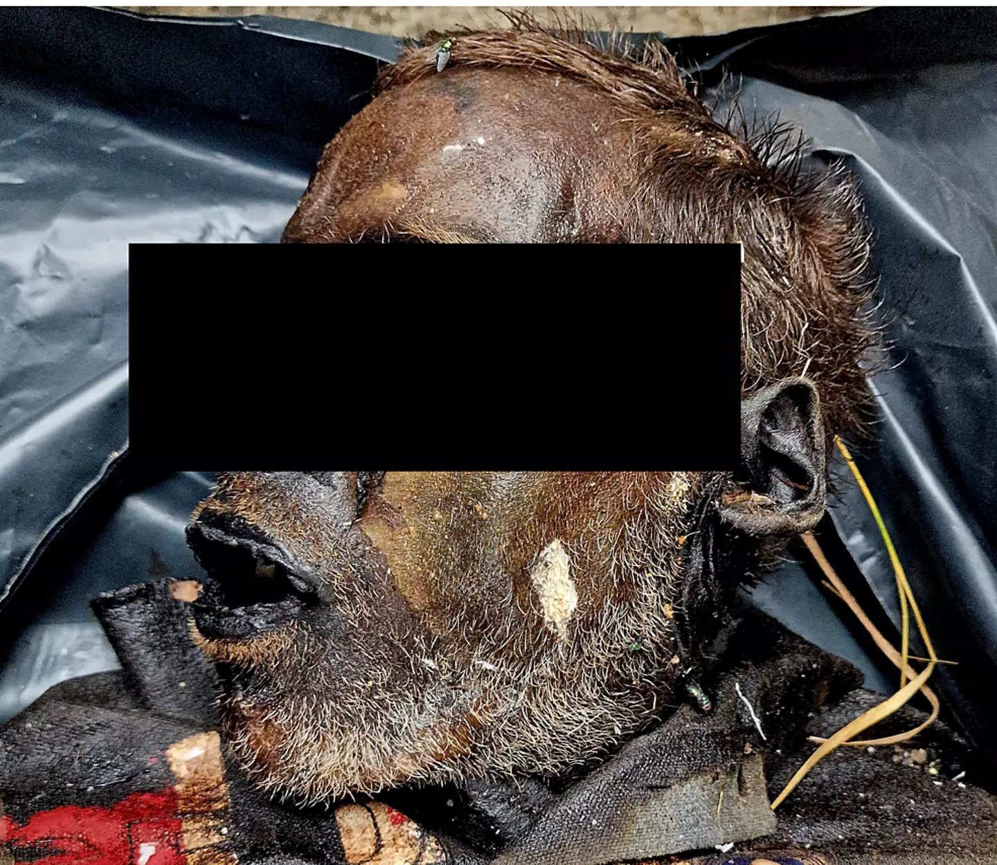 The man was last seen alive 16 days before he was found in a state of 'complete mummification'.