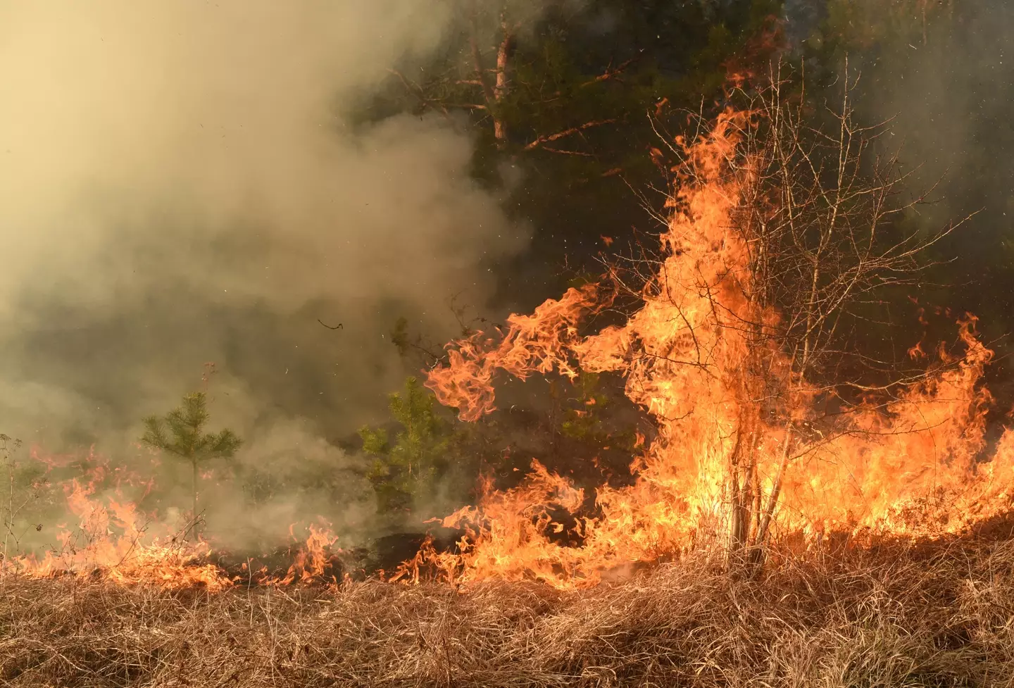 As a heatwave continues to spark wildfires across Europe.