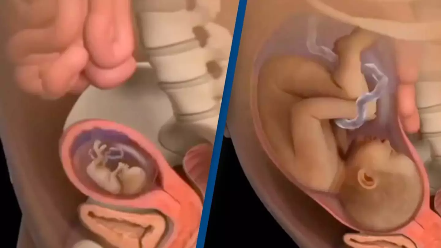 Instagram/mommys_touch_shital_lathiya